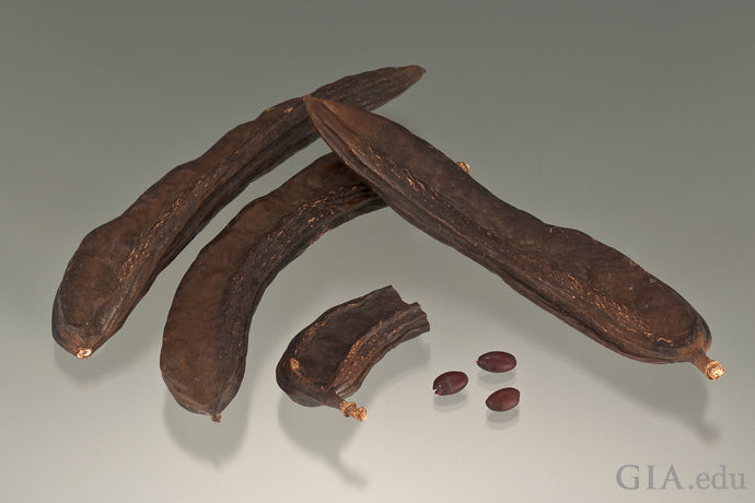 Carob Seed Pod for Carat - GIA