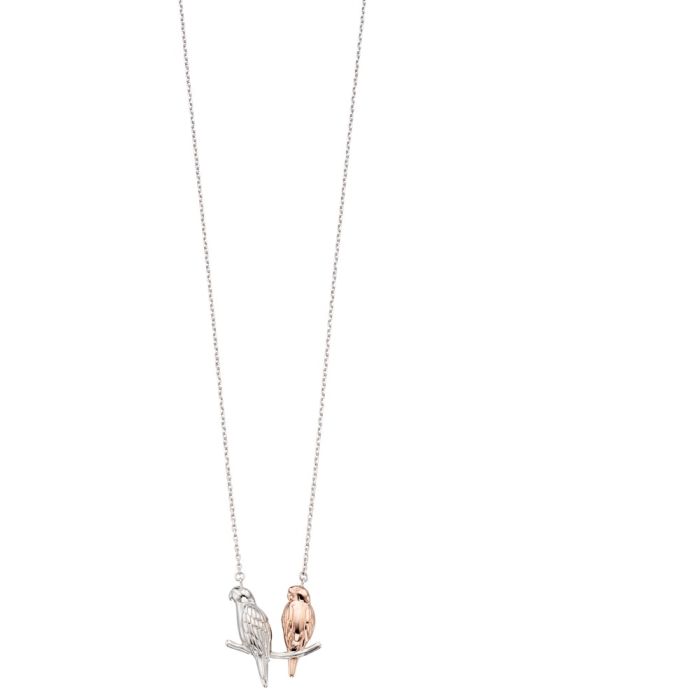 Lovebirds Necklace in Silver and Rose Gold on Silver Chain